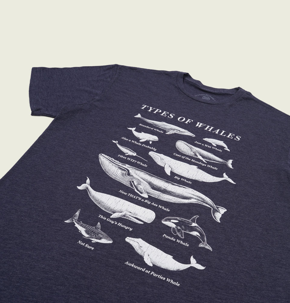 TYPES OF WHALES Navy Unisex t-shirt - Main Image
