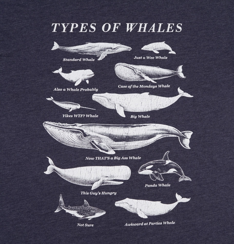 TYPES OF WHALES Navy Unisex t-shirt – - Main Image