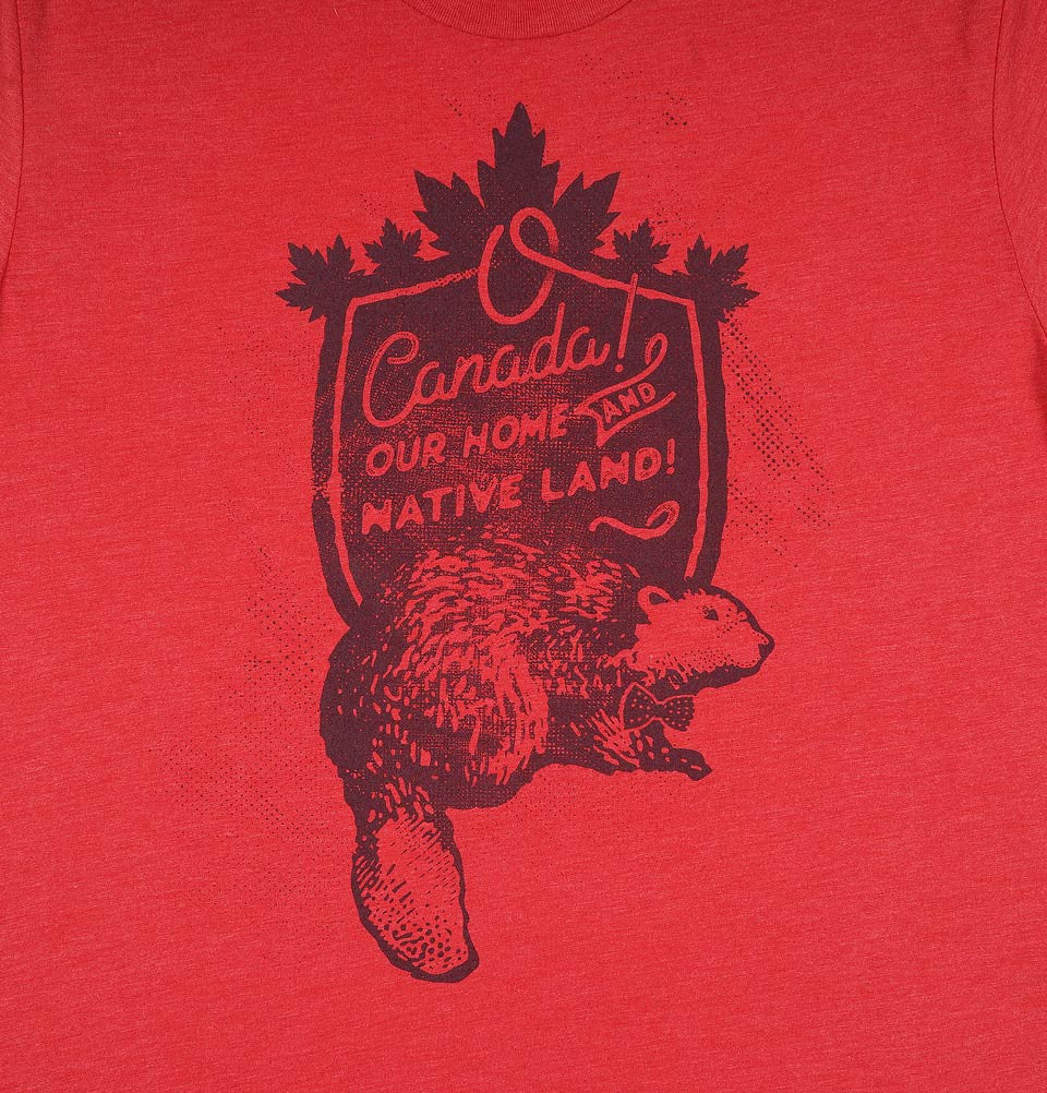 O CANADA! OUR HOME AND NATIVE LAND! - t-shirtology - Tees.ca